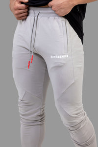 Gray jogger pants with a brand logo on a white background